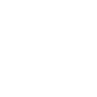 Logo Dn Sticker by Digital Noir
