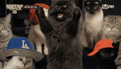 쇼미더간식 GIF