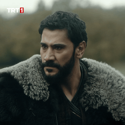 Come On What GIF by TRT