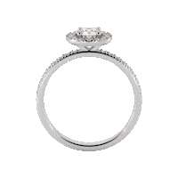 maisonisor gold jewelry diamond ring Sticker