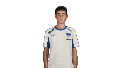 Hertha Bsc Football Sticker by Bundesliga