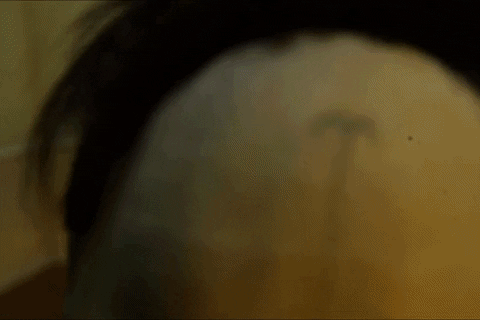 Lab Creator GIF by Alex Boya