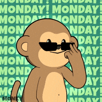 Coffee Work GIF by Wise Monkey Meme