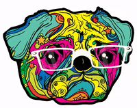 thenaturalvetsmx acupuntura tnv thenaturalvets naturalvets vets veterinarios homeopatia fisioterapiacanina GIF