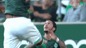 Football Soccer GIF by SV Werder Bremen