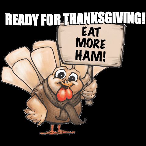 TOTTProductsLLC thanksgiving turkey thanksgiving day ready for thanksgiving GIF