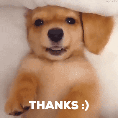 GIF by LWTSQUAD