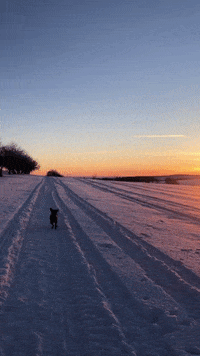 OpenHousePraha  GIF