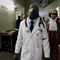 Bird Doctor GIF