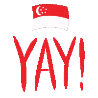 Sg Teamsg Sticker by Team Singapore
