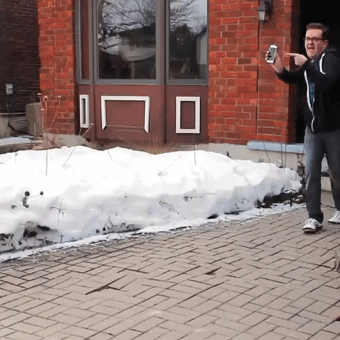 GIF by Brittlestar