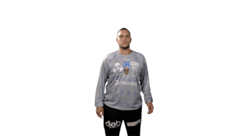 Handball Dunkerque Sticker by USDK