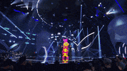 Season 6 Netflix GIF by The Masked Singer
