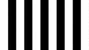 Football Love GIF by SK Sturm Graz