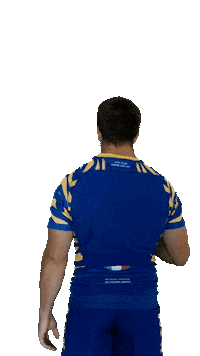 Rugby Italia Sticker by Zebre Parma