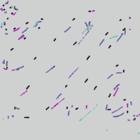 GIF by Boopy Club