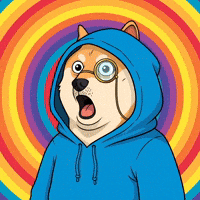 Shiba Inu Wow GIF by Doge Pound