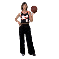 Basketball Nba Sticker by novasports