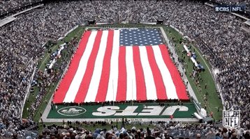 Regular Season Football GIF by NFL