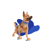 Chile Somospley Sticker by Champion Dog Proa