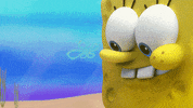Kamp Koral GIF by SpongeBob SquarePants