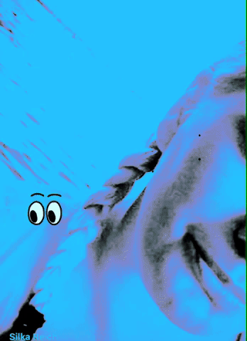 silka #hellosilka GIF