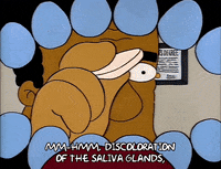 Season 2 GIF by The Simpsons