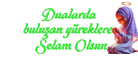 Islam Muslim Sticker