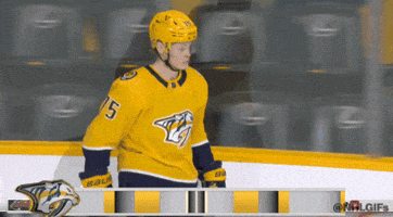 Happy Nashville Predators GIF by NHL