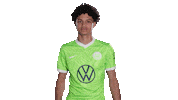 In Love Football Sticker by VfL Wolfsburg