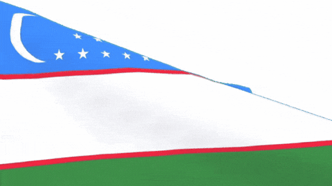 Flag Turk GIF