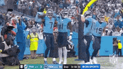 Tennessee Titans Football GIF by NFL