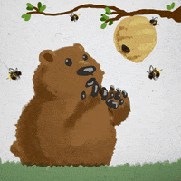 honey GIF