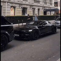 Bodo GIF