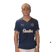 2 Bundesliga Football Sticker by Holstein Kiel