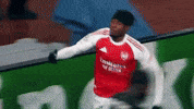 Champions League Football GIF