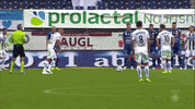 Sturm Graz Football GIF by SK Sturm