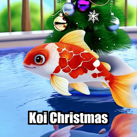 Koi Fish Christmas GIF by TheConfishius