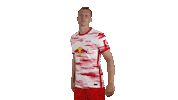 Football Yes Sticker by RB Leipzig