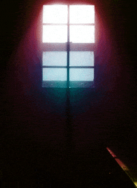 back from the dead window GIF by weinventyou