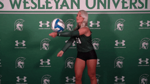 Iwuwvb24 GIF by iwusports