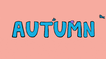 Fall Autumn GIF by Simon Super Rabbit
