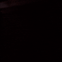 Red Bull Plane GIF by Red Bull Racing