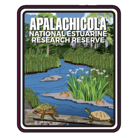 Aquatic Preserve Sticker by FLDEP