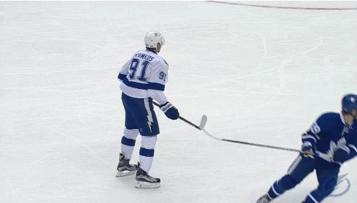 hockey celebration GIF by Tampa Bay Lightning