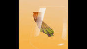 Red Wine California GIF by AssemblyDems