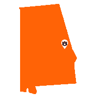 Gotigers Wareagle Sticker by Auburn University