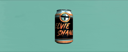 Country Music Love GIF by Elvie Shane