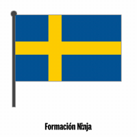 Sweden Flag GIF by Formación Ninja