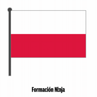 Poland Flag GIF by Formación Ninja